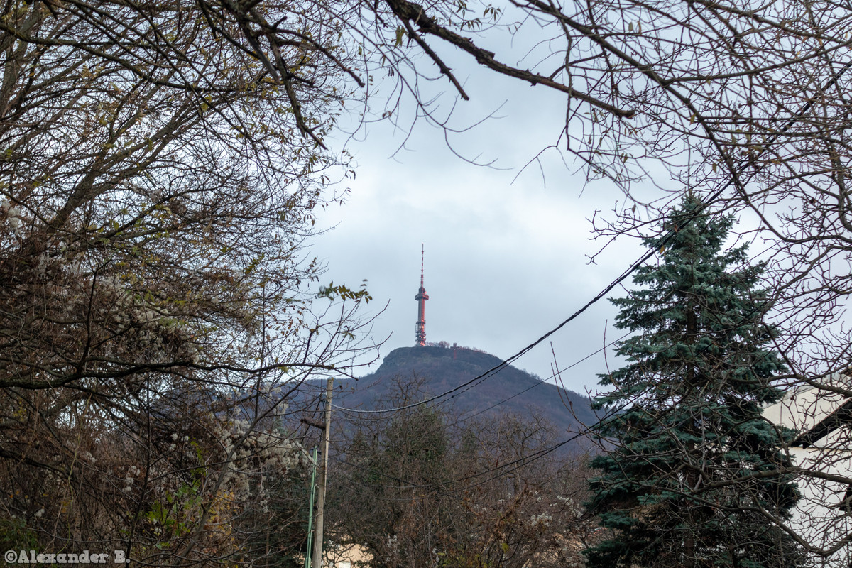 IMG_2364