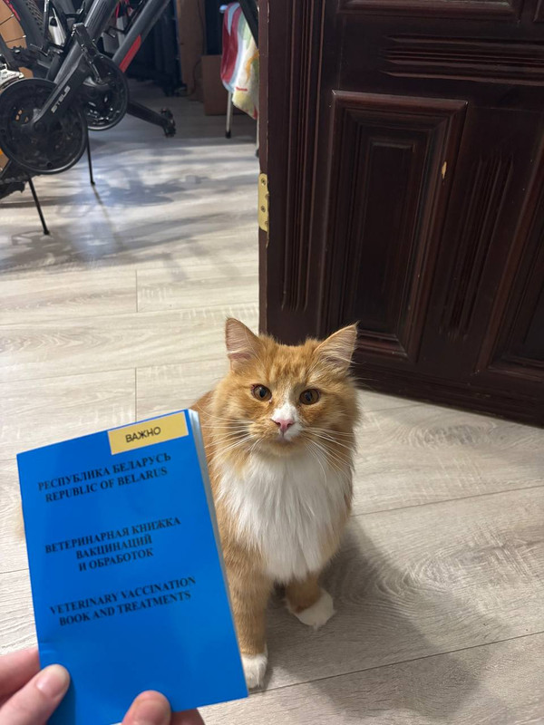 IMG 20260330 110328 961