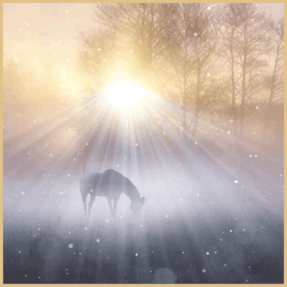 chevalsoleilbrouillard-Sephora-1