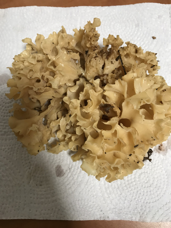 C54EA2F5-6957-48BD-AD11-D7F527195D15