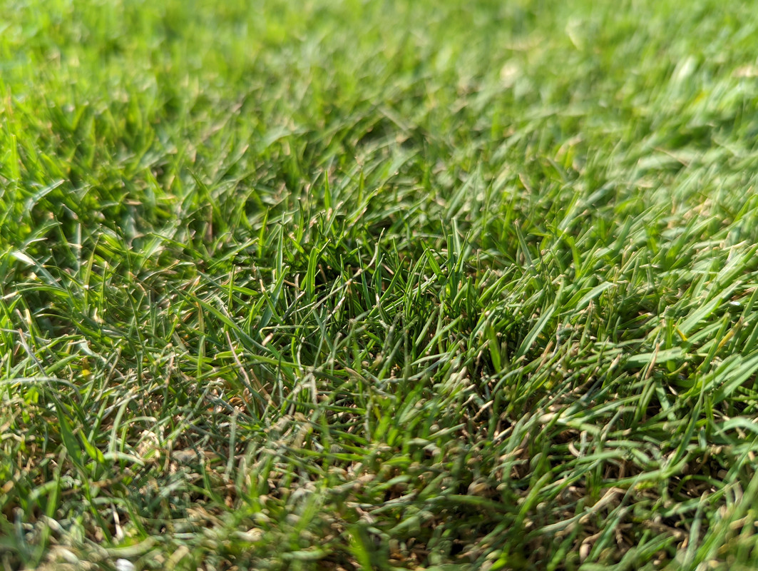 PXL_20220519_141602690