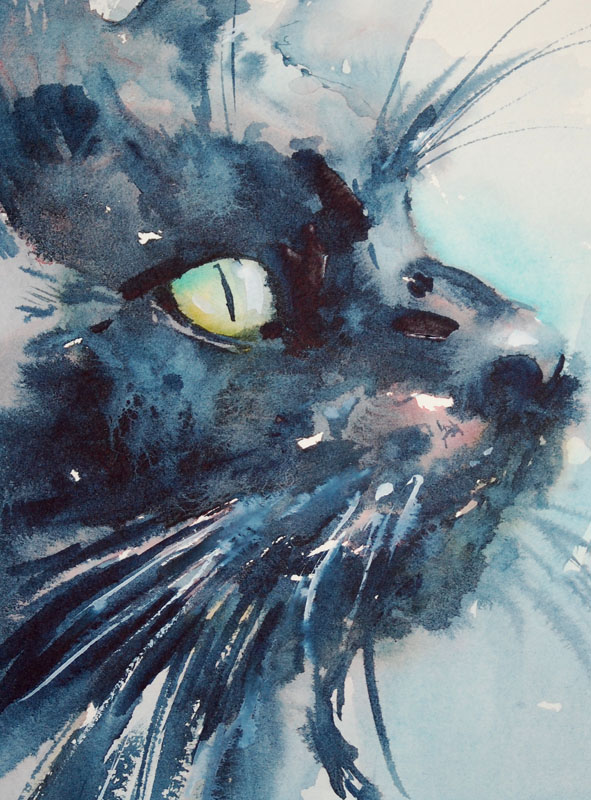 5-That-Cat