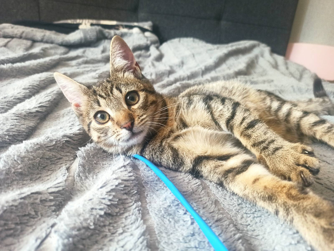 IMG-3a7738a16a176e45959ec32f5aff9115-V