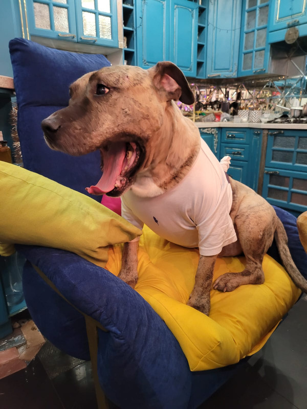 14A3391D-3C50-4CAD-B0CE-AD9F5FB6B610