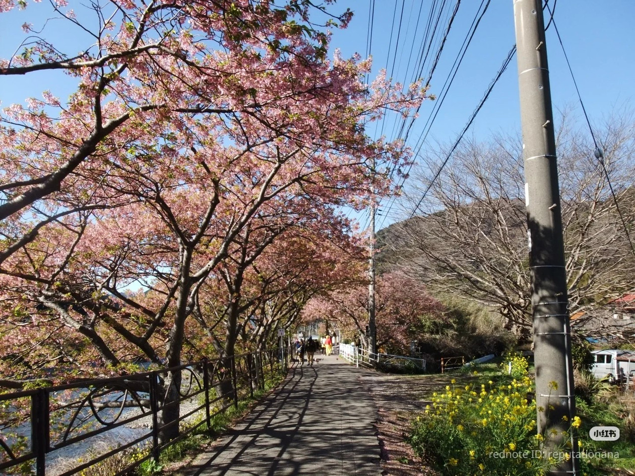 photo 16 2025 12 17 21 28 21