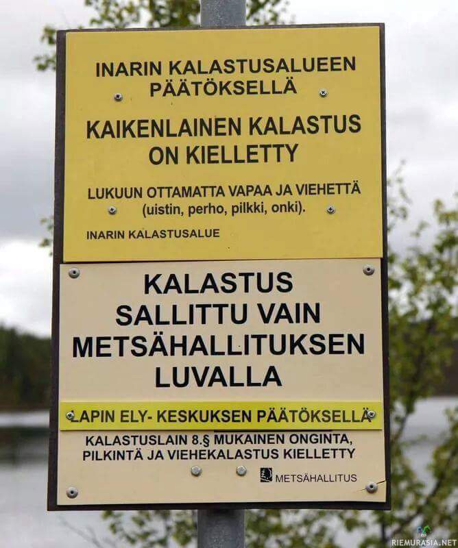 kalastus