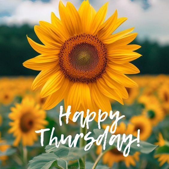 Thankful-Thursday.jpg