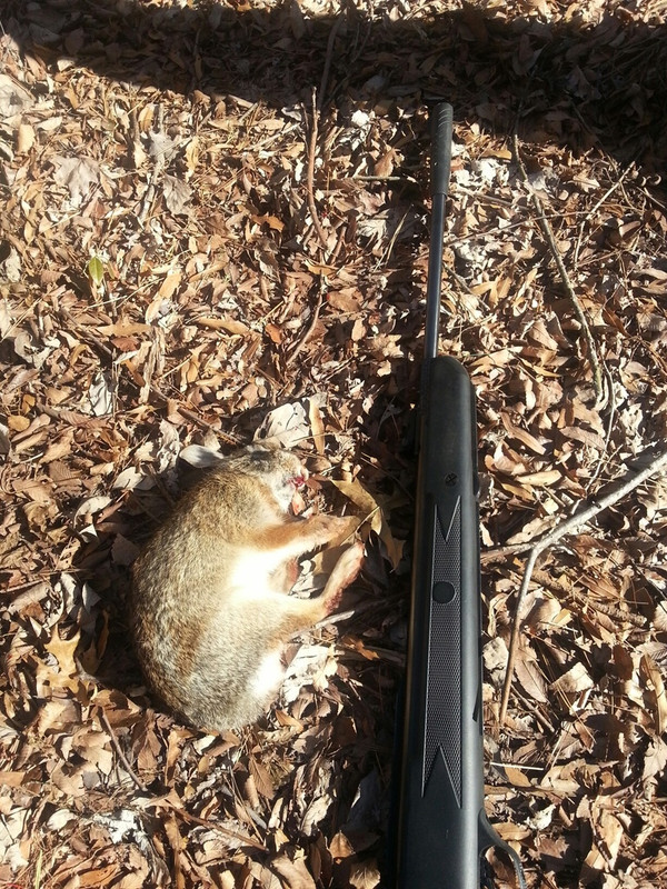 20140311_102110_resized