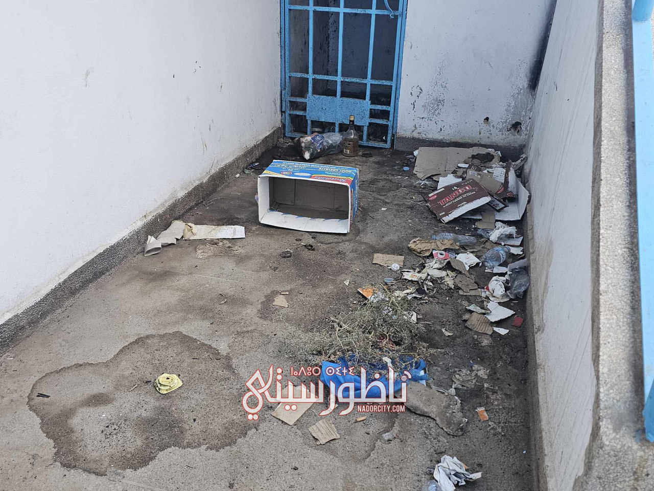 574598188-1376100847501766-8381286811478492128-n