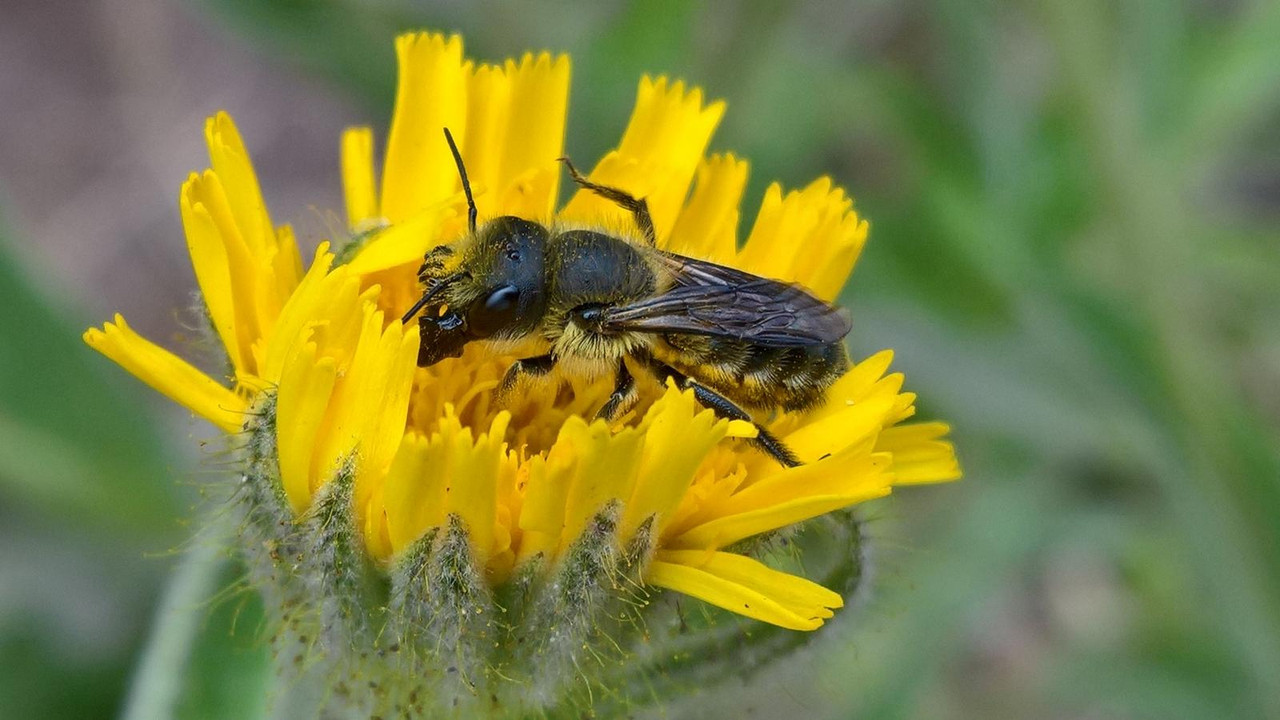 WP_20180605_13_05_27_Pro (2)