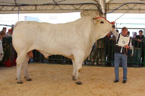 41d1a24c7e7a3eed6a2a9e2c05cacb70