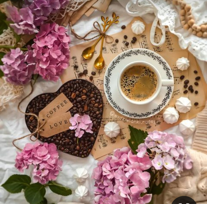 Screenshot_20230328_004249_Pinterest