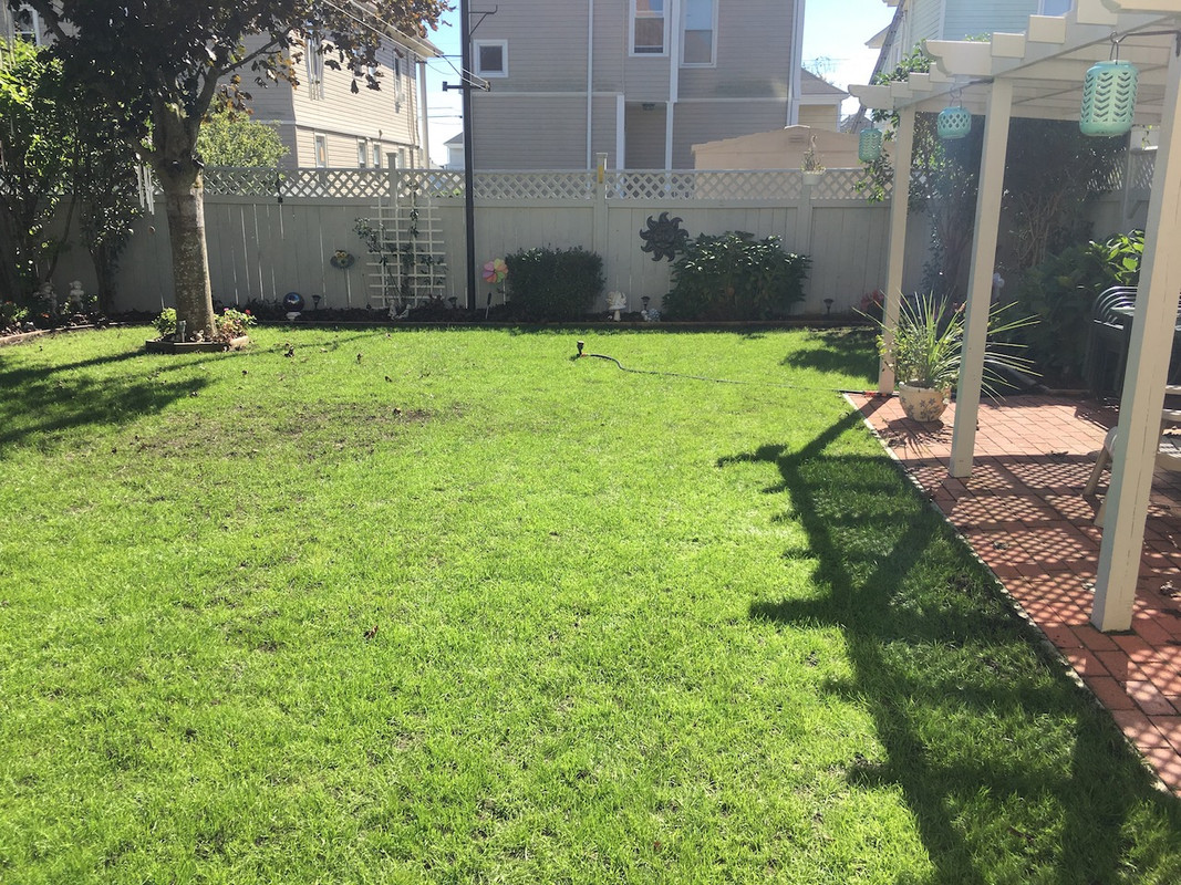 2017_Backyard_Reno_Day_44_2_small