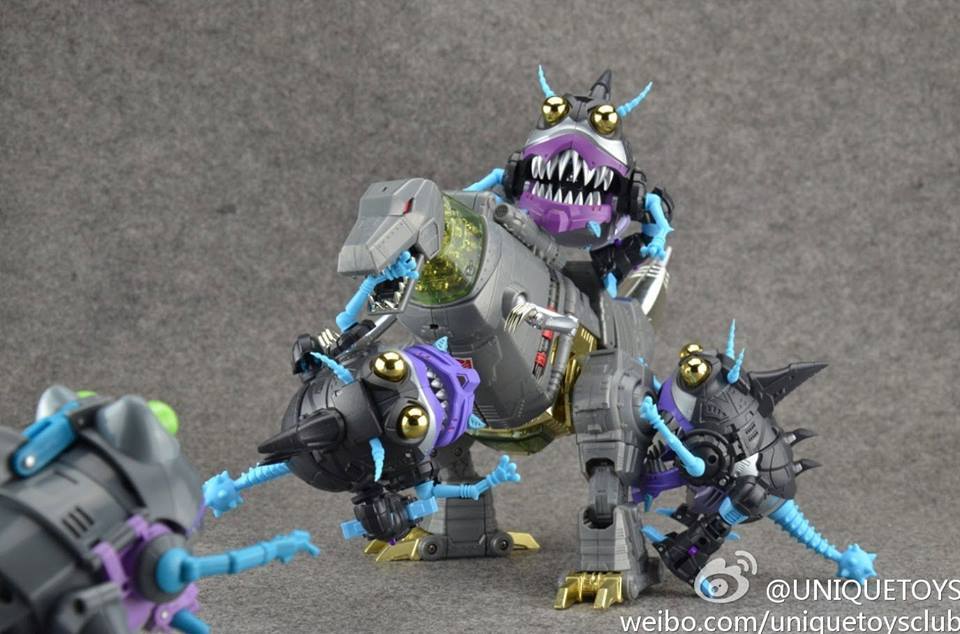 1457552_718269161518312_636642955_n