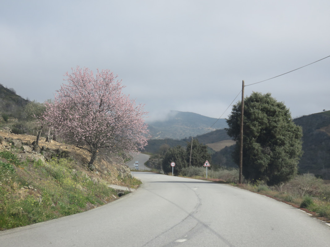 IMG 6602 — Postimages