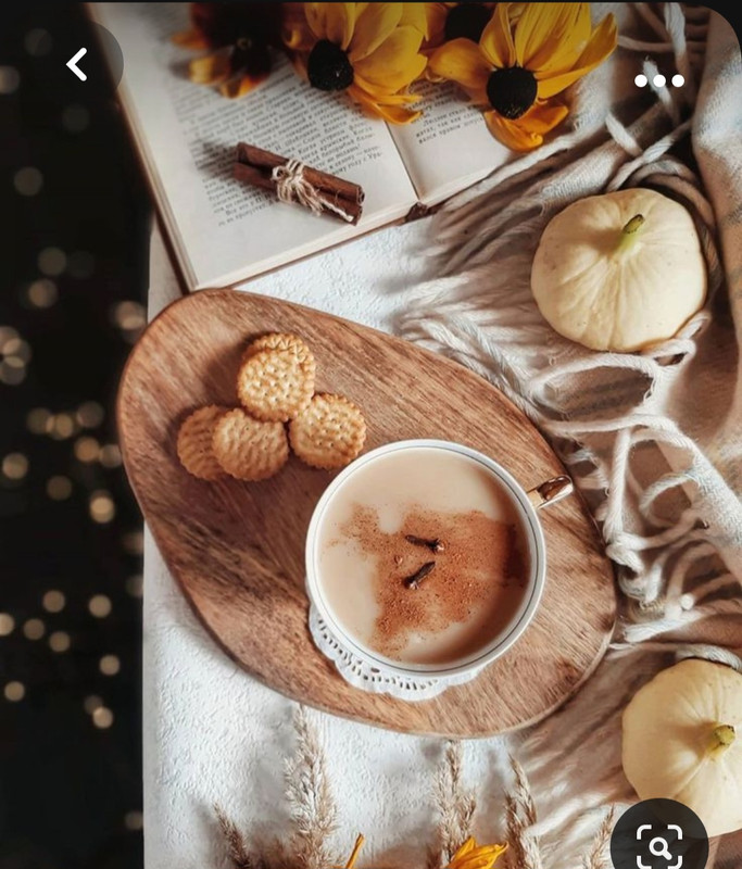 Screenshot_20231008_222547_Pinterest