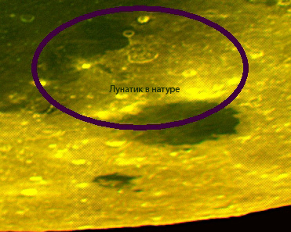 20110817-012829 Лунатик в натуре  ИФ