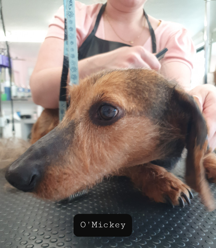 [Image: 20220513-160837.jpg]