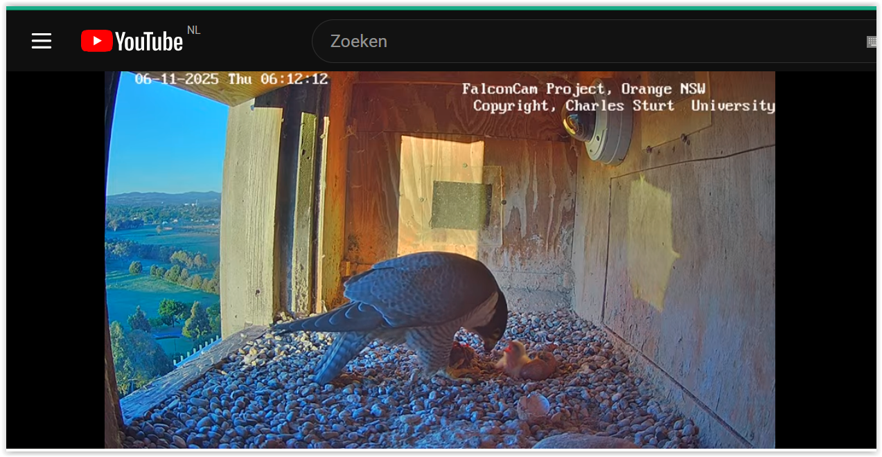 Screen Shot 11 06 25 at 03 25 AM