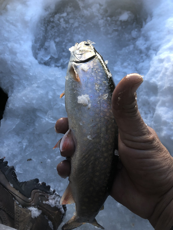 9F9C18C7-655D-48DD-BA43-24185EA2E9E7