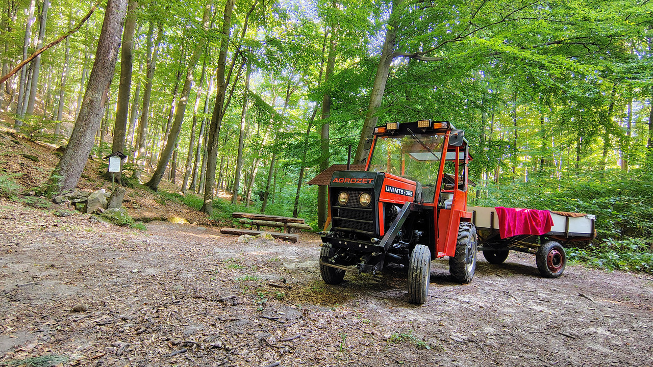 IMG_20250816_162220569_HDR_AE