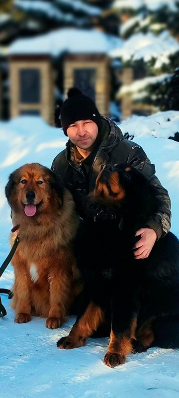 Моя собака боится громких звуков и людей на улице