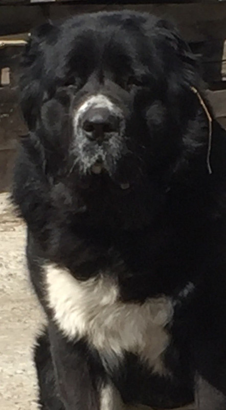 AB2D9EAA-3A20-4414-8D96-035784F2ECAC