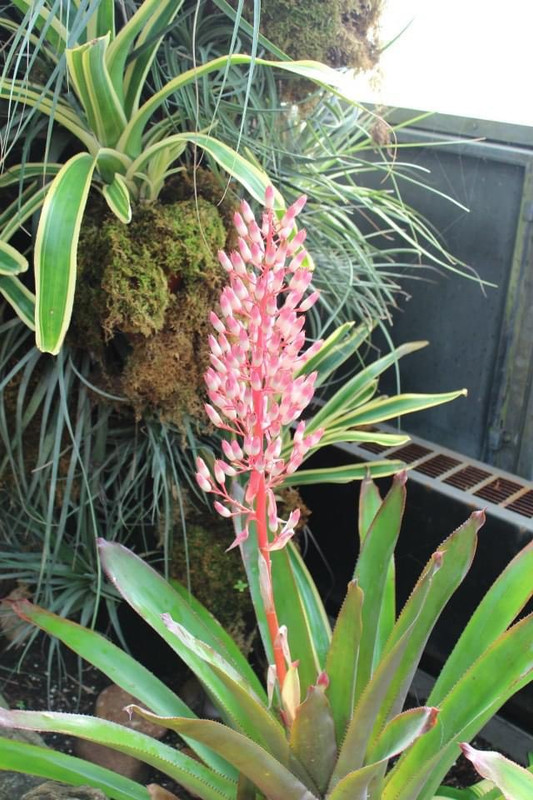 26BD89BC-951A-431C-AE62-81CDA8F165E4