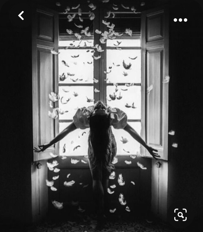 Screenshot_20231027_234003_Pinterest