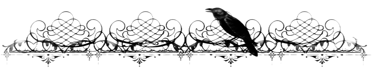 Птица разделитель