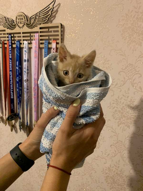 C2FB1AB1-F494-4B4F-AF80-F86314FE24B2