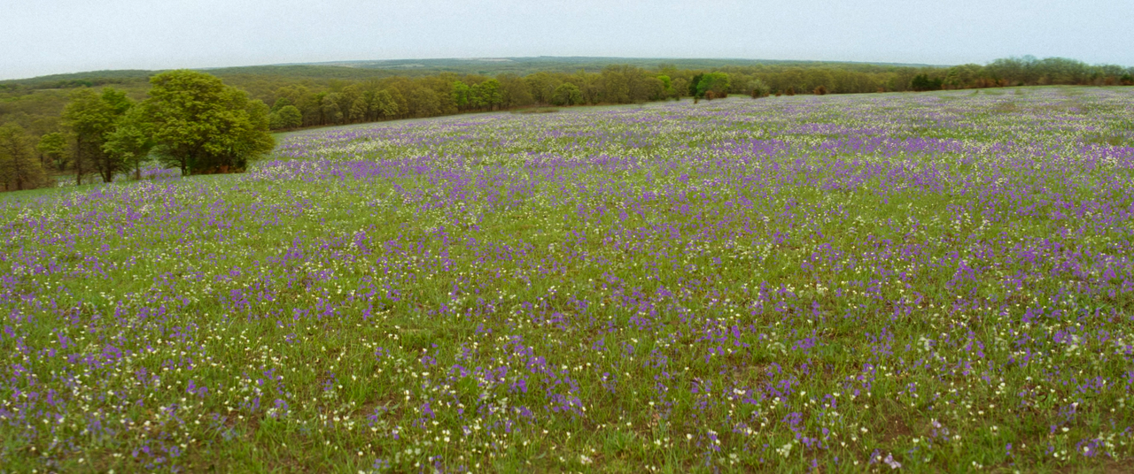 mpv-shot_Killers.of.the.Flower.Moon.2023.2160p.WEB-DL.DV.HDR.HEVC-Нечипорук_00_24_56_0005