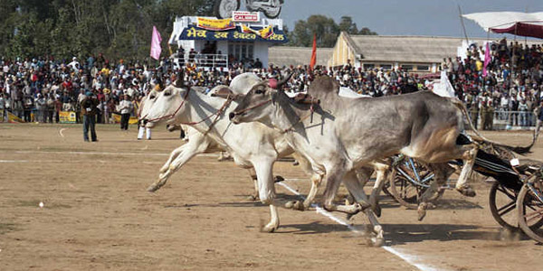 Kila Raipur Games