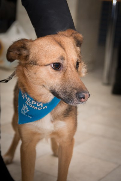 7C9FEBD5-223F-4945-88F1-C00AD8C9D3F0