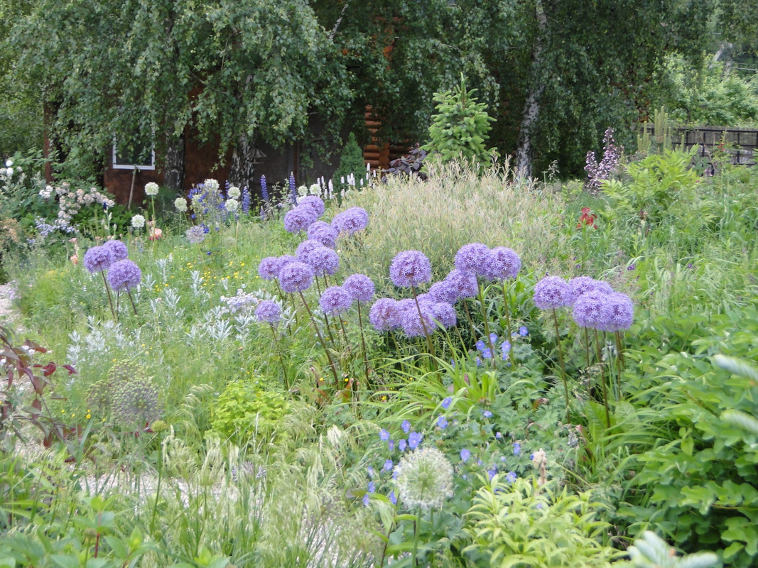 DSC02720
