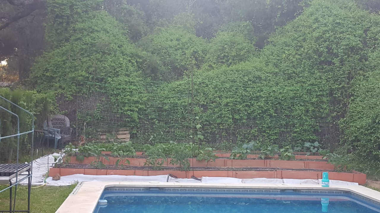 WhatsApp Image 2020-05-21 at 21.54.36 (1)