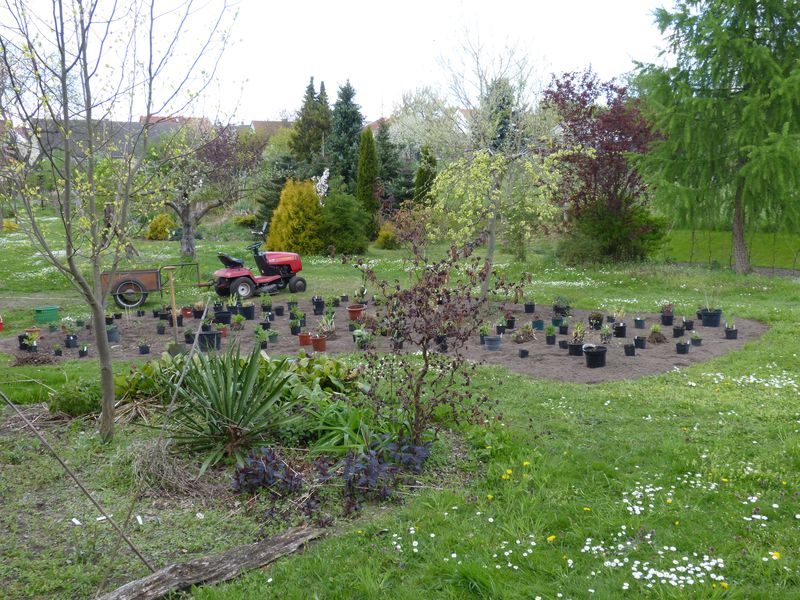 2014-04-20 Gräserbeet3