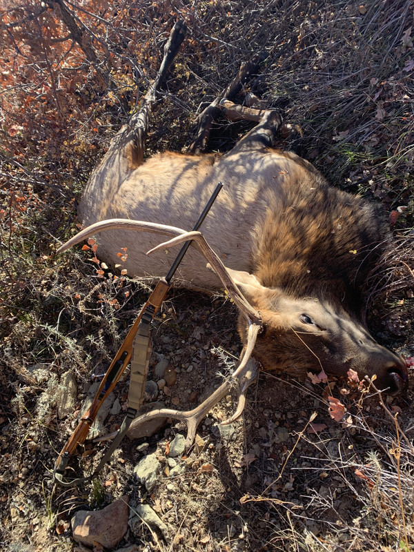 F1802988-B9DF-439C-BA10-79DD5111EAA9