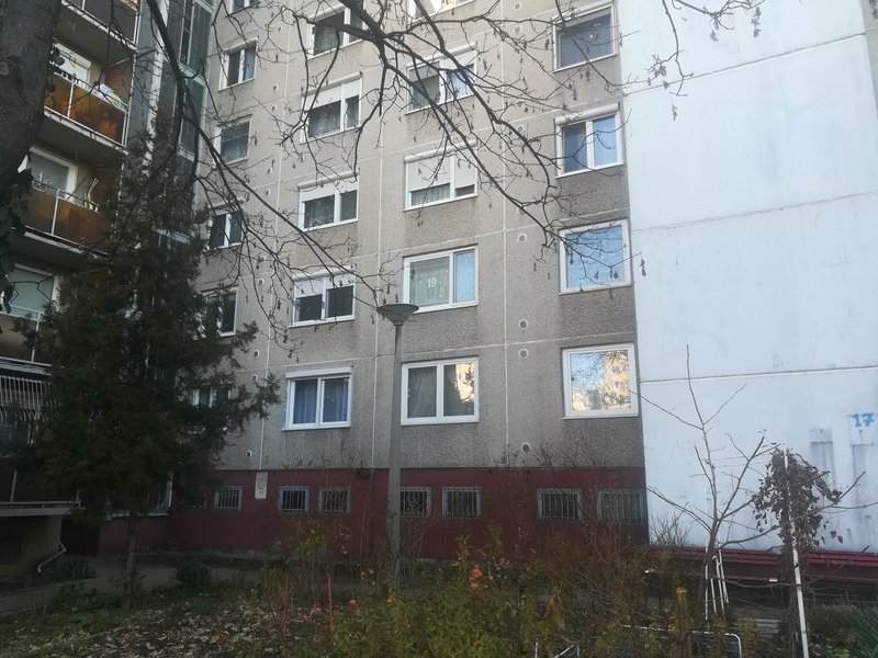 Kép