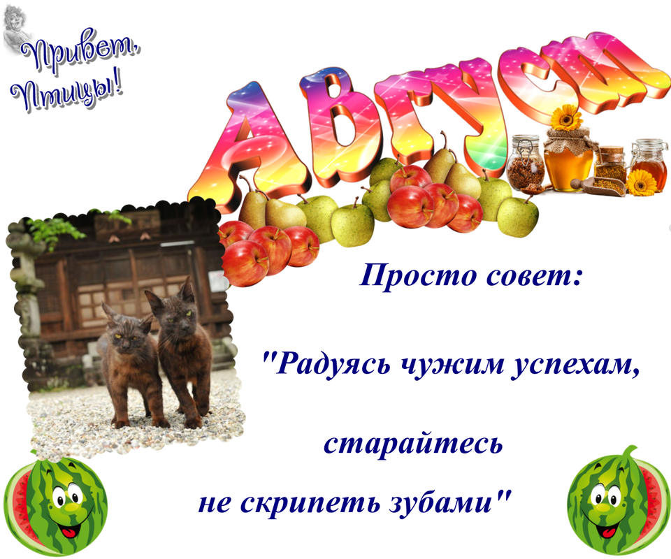 https://i.postimg.cc/NfYP1Jkn/11-08.png
