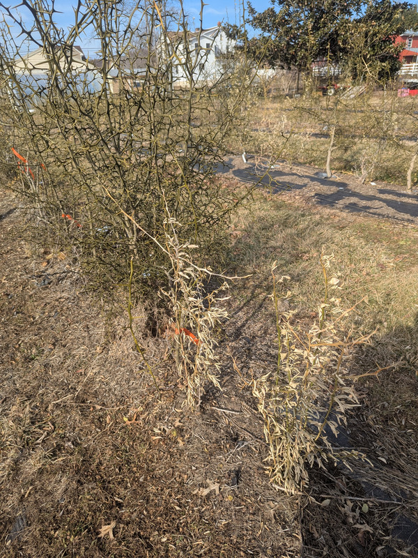 PXL_20250130_185110957