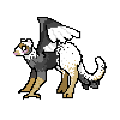 Ferret-chicken-1.gif