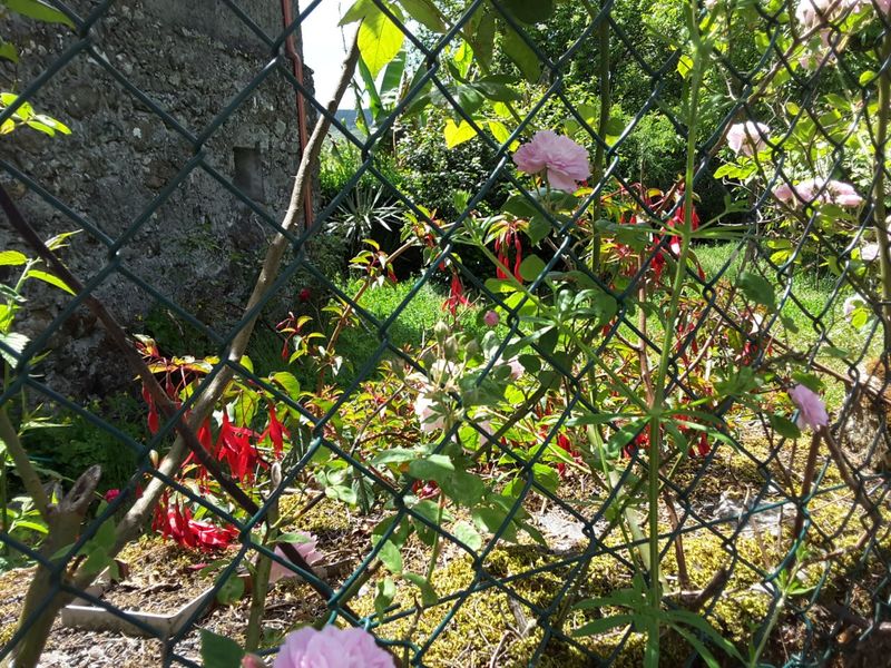 IMG-20170520-WA0049