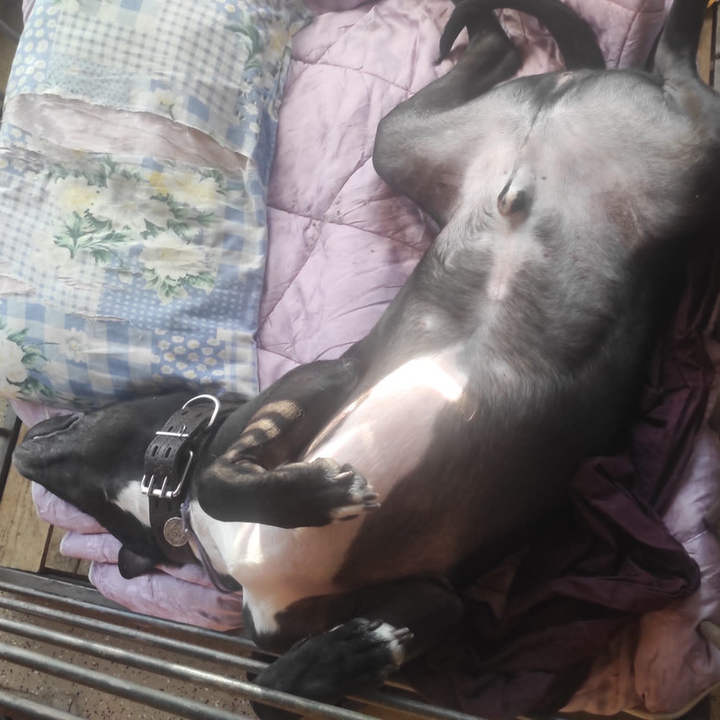 E2539BA5-D0F8-4E83-B57E-57345136F79E