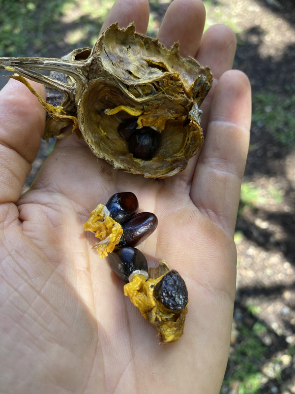 AEA5E38B-9040-449F-AD7E-EDD3C5154D62