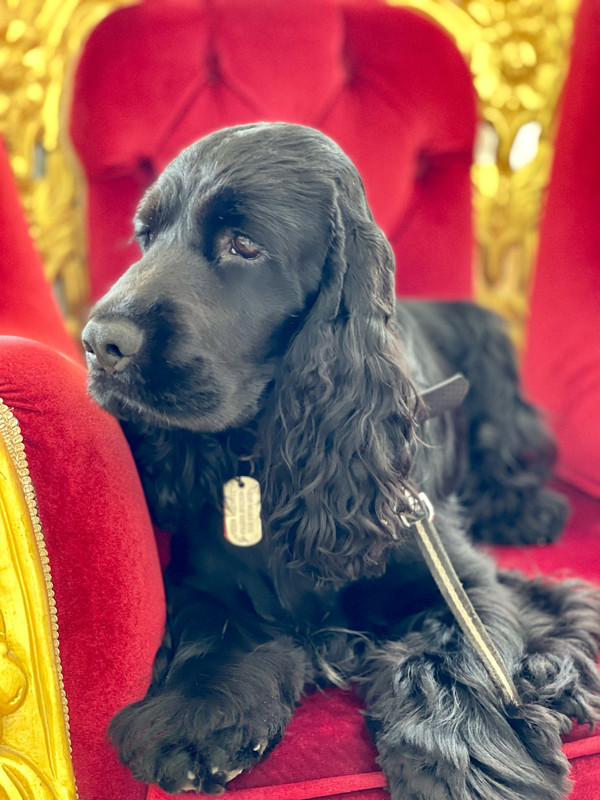 A4D9827F-A672-4ED2-960A-D2DACA5AA6E5