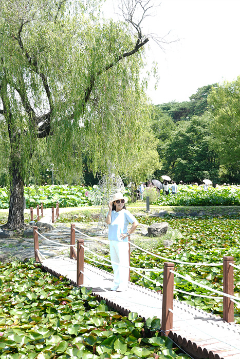 DSC02241