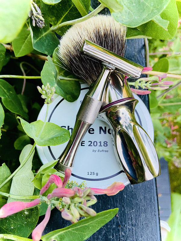 SOTD_20210619.jpg