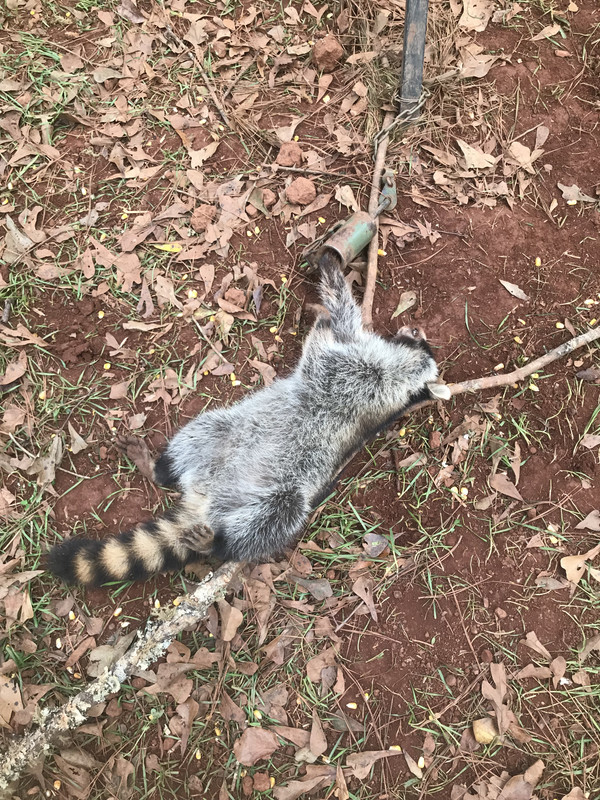 FCEB2D89-8086-4BC3-8D9F-21D9A42D1EA1