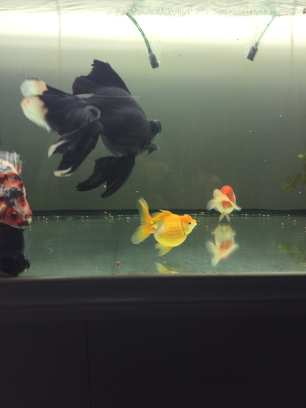 5CBCF258-8885-45CB-B8DB-FBE7616D240A